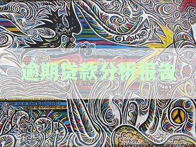 新贷款逾期风险监控与分析报告ppt模板