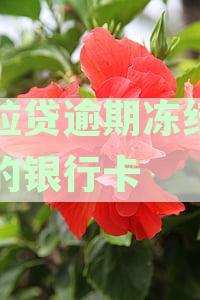 微粒贷逾期后，银行卡被冻结的处理方法及可能影响