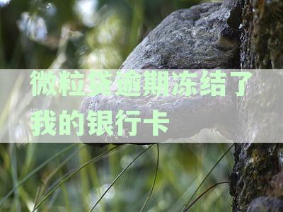 微粒贷逾期冻结蓄卡银行卡，怎么办？