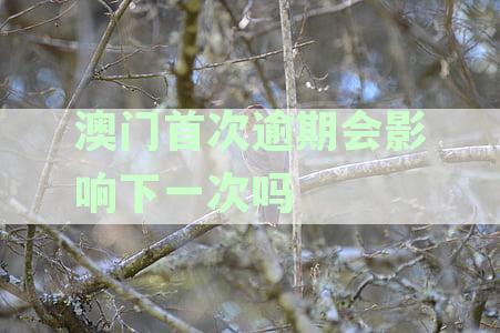 澳门第一次逾期怎么处理-澳门第一次逾期对下次进有影响吗