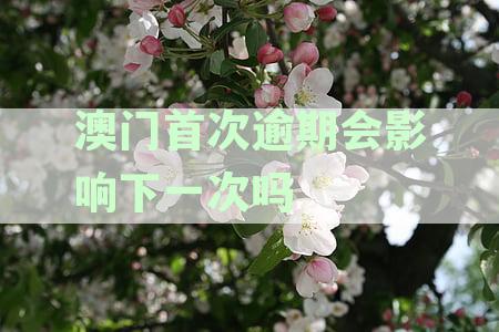 澳门逾期逗留二次罚款攻略：如何避免不必要的经济损失
