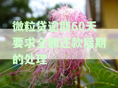 关于微粒贷逾期60天后全额还款的后期处理方式，是真的需要一次性还清吗？