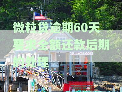 微粒贷逾期60天要求全额还款后期的处理