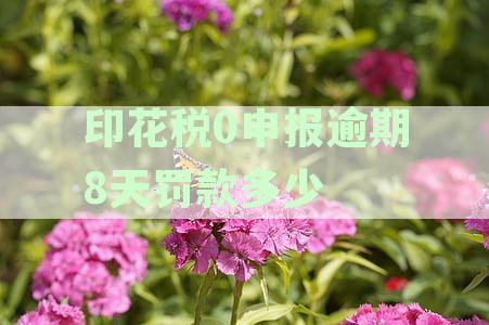 印花税零申报逾期，下个月可以申报吗？如何操作？