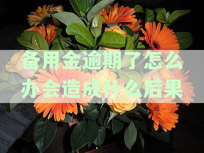 备用金逾期后果全方位解析：如何避免、处理及影响信用评分？
