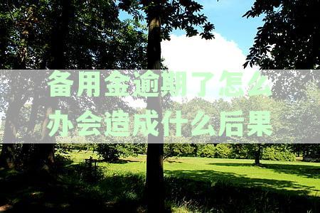 备用金逾期了怎么办会造成什么后果