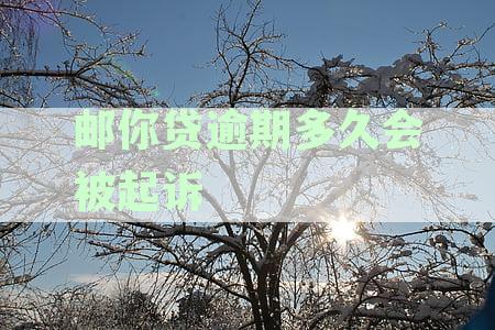 邮你贷逾期多久会被起诉