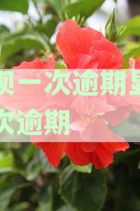 借呗逾期后多个账单如何处理？计算逾期次数的方法及影响