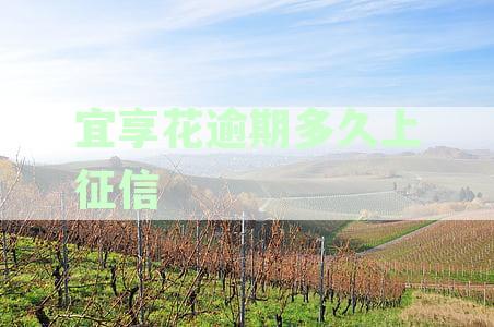 宜享花逾期几个月了，如何处理？