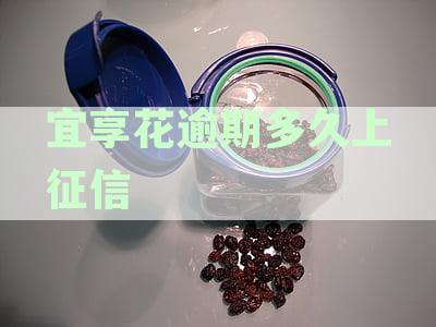 逾期宜享花贷款处理：探讨后果及可能的解决方案
