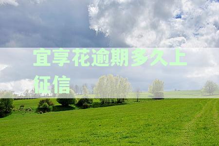 宜享花逾期了一两天会怎样：会产生什么后果并留下逾期记录吗？