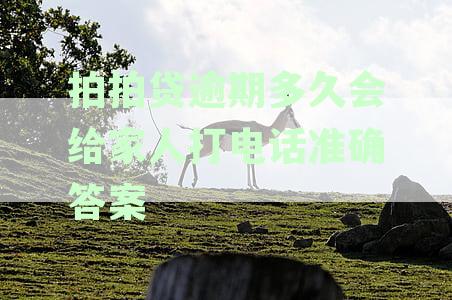 2021拍拍贷逾期多久会打电话给通讯录里的人-2021拍拍贷逾期多久会打电话给通讯录里的人呢