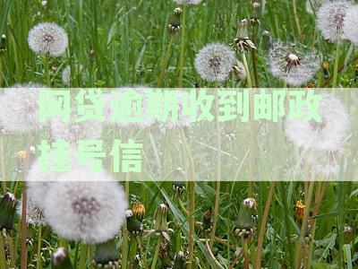 网贷逾期后收到邮政挂号信，我可以拒收吗？如何处理这种情况？