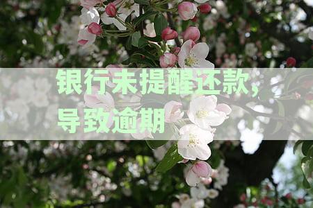 信用卡逾期：银行未提供还款通知，是否可获得赔偿金？