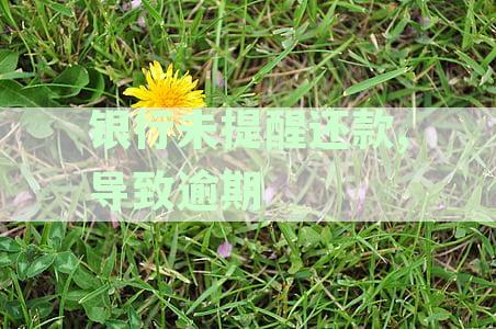 银行未提供还款提醒服务，我该如何避免逾期？逾期后应如何处理？