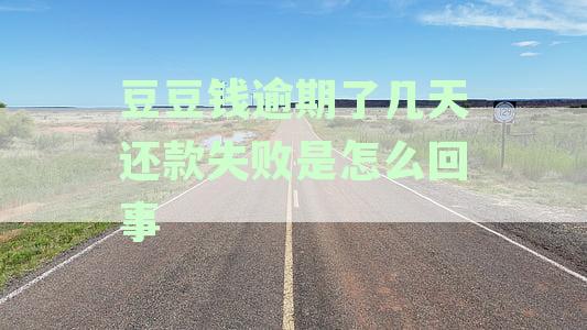 豆豆钱逾期3天还款失败，无法再借款