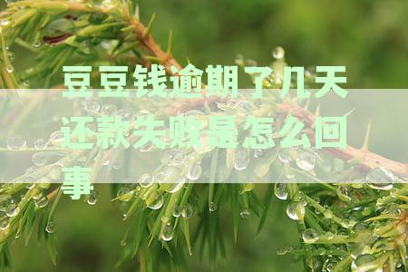 豆豆钱逾期一年的还款问题引发担忧，是否会被欺骗？