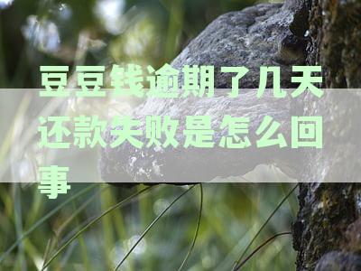 豆豆钱逾期几天就会让你全额还款吗？准备还清，怕被骗。