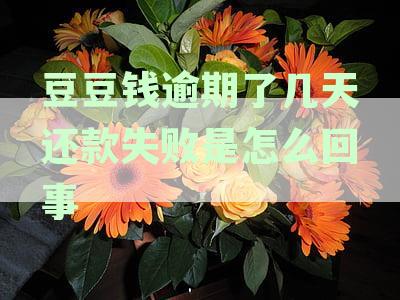 豆豆钱逾期了几天还款失败是怎么回事