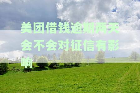 美团借钱逾期两天：征信影响及如何补救措