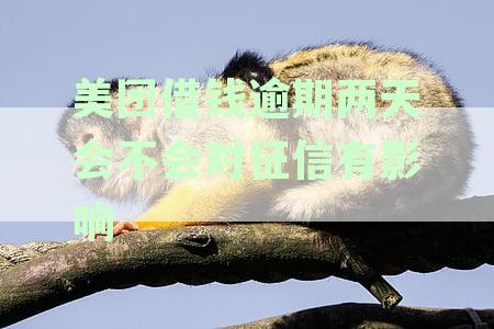 美团借钱逾期两天是否会影响征信记录？如何解决逾期问题避免征信受损？