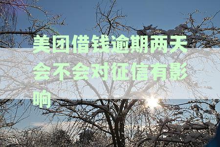 美团借款逾期两天会怎么样？请您尽快还款以免影响个人信用记录。