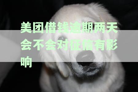 美团借钱逾期2天后还款，是否还能再次借款以及还款后的信用影响？