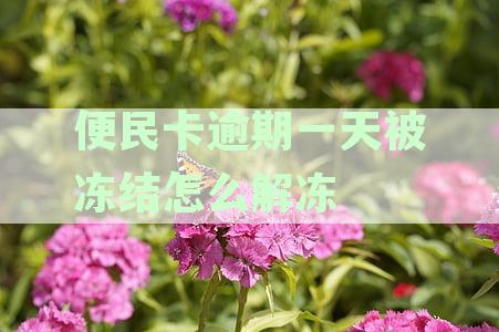 解冻被冻结的便民卡：一天逾期后的处理步骤