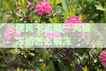 便民卡逾期一天被冻结怎么解冻银行卡：解决逾期后的银行卡问题