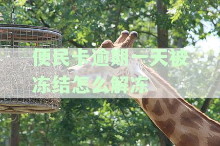 便民卡逾期后的处理策略：如何避免影响信用记录并解决相关问题