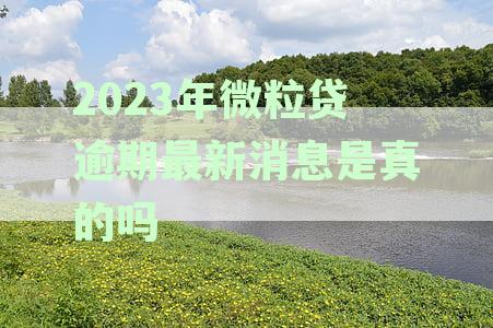 2023年微粒贷逾期还款提醒：最新资讯揭示真实情况