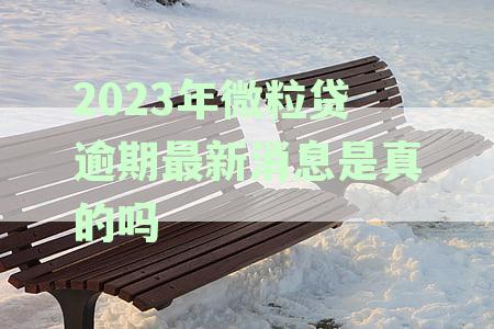 '2021年微粒贷逾期最新消息：了解现状与影响'