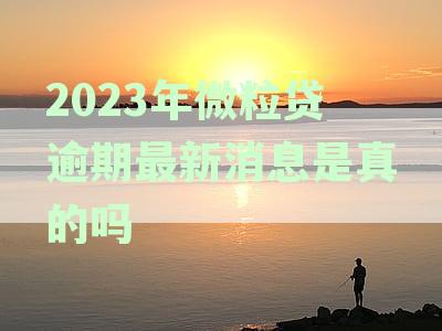 全国围内，今年微粒贷逾期情况引发关注：有多少人受到影响？