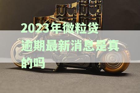 2020年微粒贷逾期人数统计：全面分析逾期率、影响及如何解决逾期问题