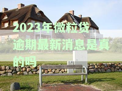 2023年微粒贷逾期最新消息是真的吗