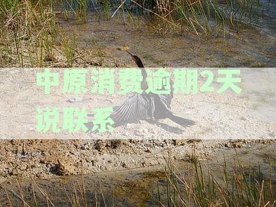中原消费逾期一个月后果及家人电话催收时间