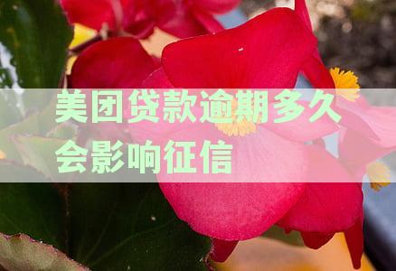 美团贷款逾期多久会上征信：逾期影响及可能后果