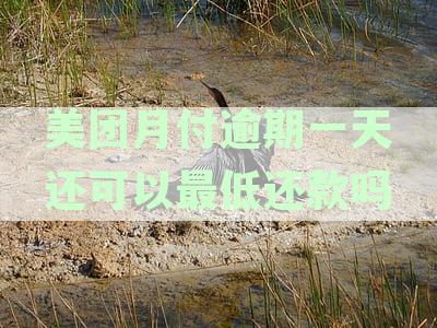 美团月付逾期一天还款后，何时可以继续使用？多久能恢复功能？