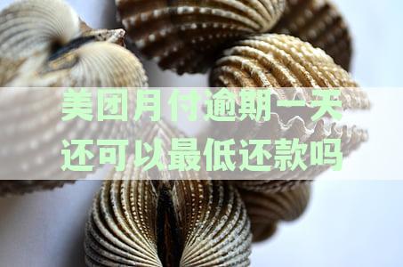 美团月付逾期一天的影响和应对措：如何避免逾期产生的不良记录和罚款？