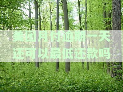 美团月付逾期一天还可以最低还款吗