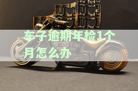 车子逾期年检1个月怎么办呢-车子逾期年检1个月怎么办呢多少钱