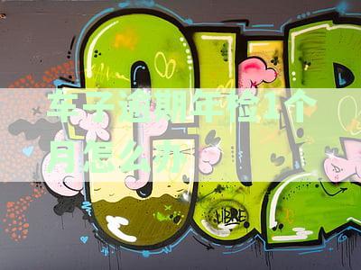 汽车年检逾期1个月：可能面临的法律后果和应对措