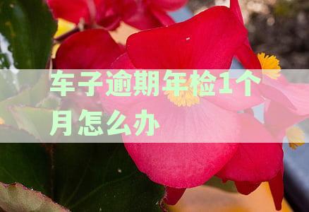 2019机动车年检逾期一个月能否检，逾期费用是多少？如何处理？