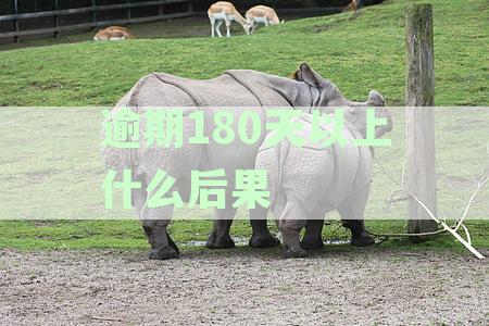逾期180天以上什么后果会被起诉-逾期180天以上什么后果会被起诉呢