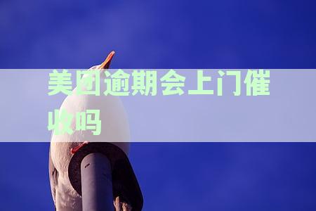 美团逾期19天后还款，如何解决逾期记录？用户常见问题解答