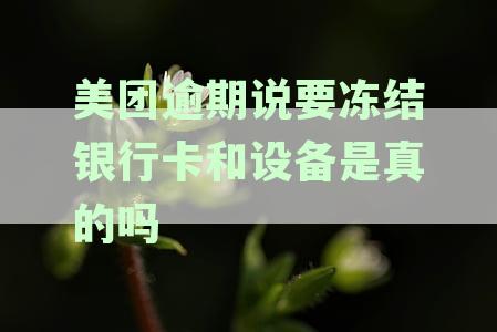 美团逾期冻结银行卡和设备安全吗？