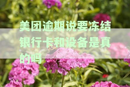 美团逾期后银行卡与设备被冻结？揭秘真实情况与贷款风险