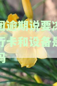 美团逾期一周后是否会冻结银行卡？我的资金安全如何保障？