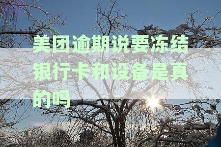 美团逾期会冻结银行卡吗？如何解冻？-美团逾期会冻结银行卡吗?如何解冻呢