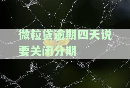 微粒贷逾期四天会关闭分期功能吗？用户该如何应对？
